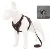 Best Adjustable Dog Harness and Leash Best Adjustable Dog Harness and Leash