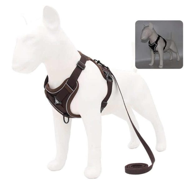 Best Adjustable Dog Harness and Leash Best Adjustable Dog Harness and Leash