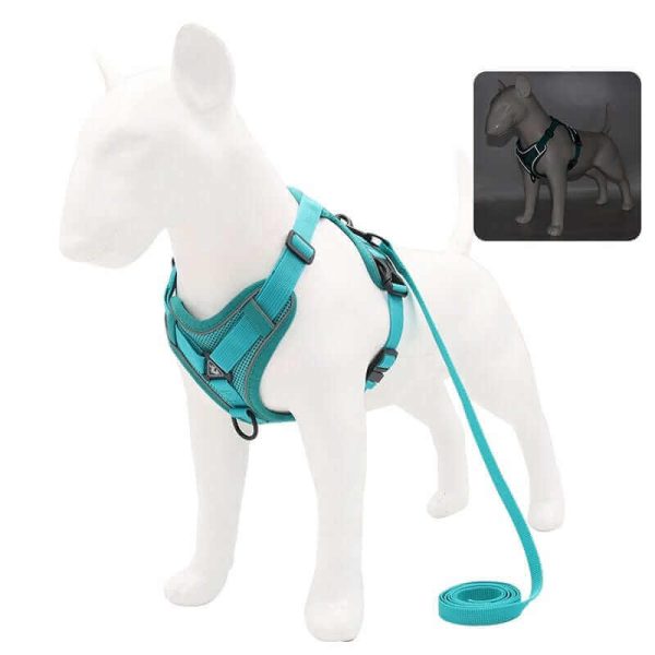 Best Adjustable Dog Harness and Leash Best Adjustable Dog Harness and Leash