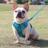 Best Adjustable Dog Harness and Leash Best Adjustable Dog Harness and Leash