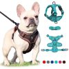 Best Adjustable Dog Harness and Leash Best Adjustable Dog Harness and Leash
