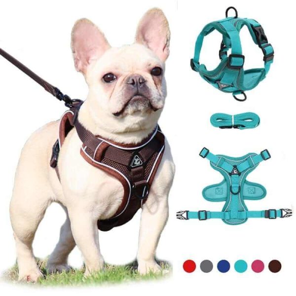 Best Adjustable Dog Harness and Leash Best Adjustable Dog Harness and Leash