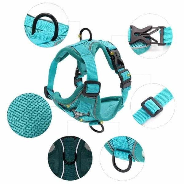 Best Adjustable Dog Harness and Leash Best Adjustable Dog Harness and Leash