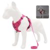 Best Adjustable Dog Harness and Leash Best Adjustable Dog Harness and Leash
