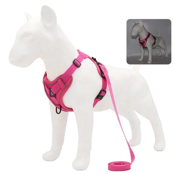 Best Adjustable Dog Harness and Leash Best Adjustable Dog Harness and Leash
