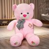 Big Star Moon Teddy Bear Plush Toy Big Star Moon Teddy Bear Plush Toy