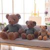 Big Teddy Bear Plush Soft Toy Big Teddy Bear Plush Soft Toy