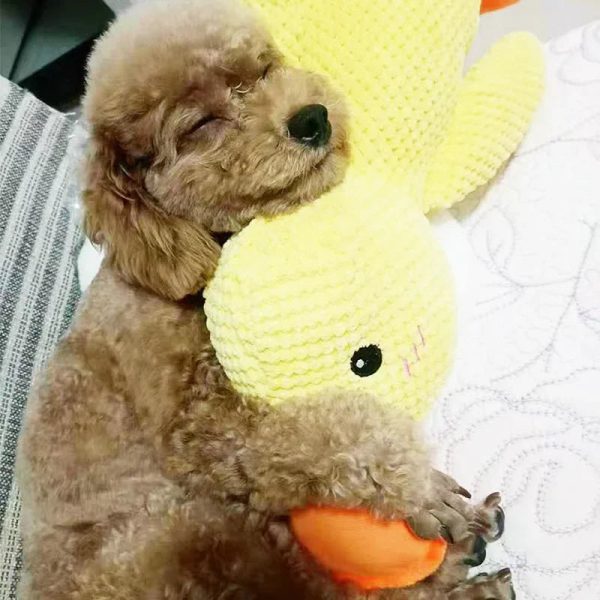 Bite-Resistant Plush Duck Toy for Dogs - Teething & Sleep Aid