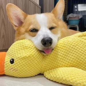 Bite-Resistant Plush Duck Toy for Dogs - Teething & Sleep Aid