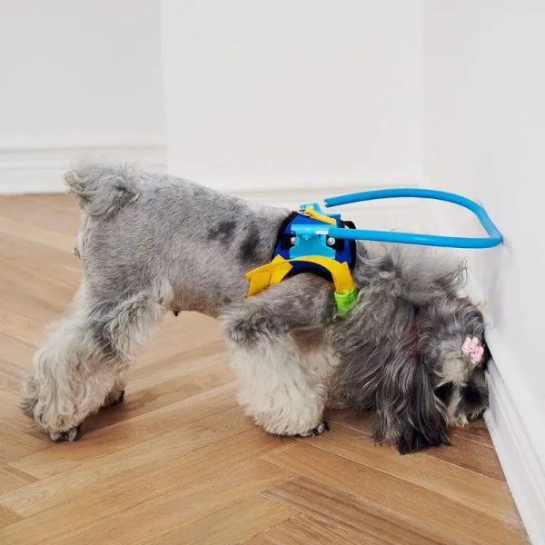 Blind Pet Anti-Collision Collar Blind Pet Anti-Collision Collar