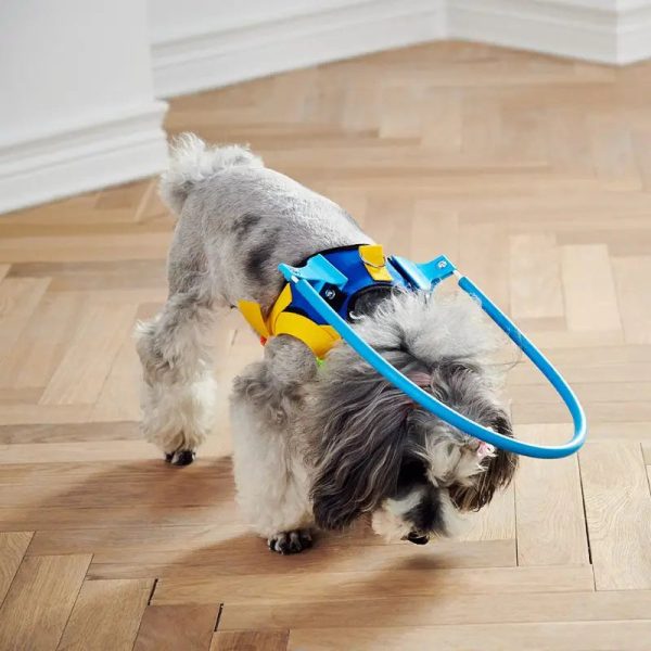 Blind Pet Anti-Collision Collar Blind Pet Anti-Collision Collar