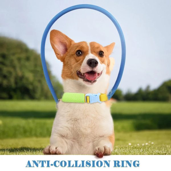 Blind Pet Anti-Collision Collar Blind Pet Anti-Collision Collar