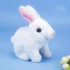 Bouncing Plush Bunny Toy Bouncing Plush Bunny Toy