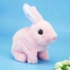 Bouncing Plush Bunny Toy Bouncing Plush Bunny Toy