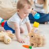 Bouncing Plush Bunny Toy Bouncing Plush Bunny Toy