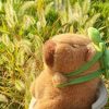 Capybara Bunny Huggable Doll Plushie Capybara Bunny Huggable Doll Plushie