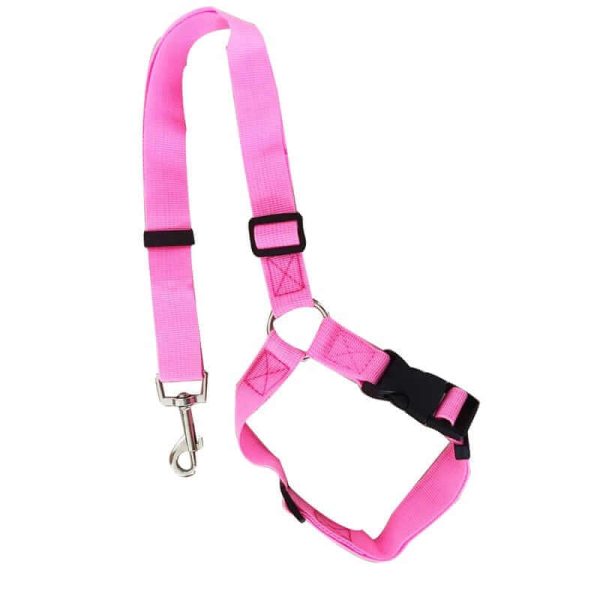 Car Seat Belt for Dogs