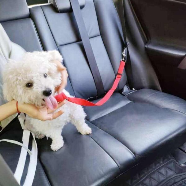 Car Seat Belt for Dogs