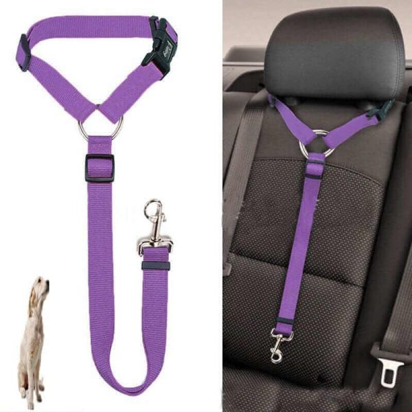 Car Seat Belt for Dogs