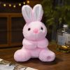 Cartoon Rabbit Plush Toy Soft Stuffed Doll Pillow for Kids and Home Decor Cartoon Rabbit Plush Toy Soft Stuffed Doll Pillow for Kids and Home Decor