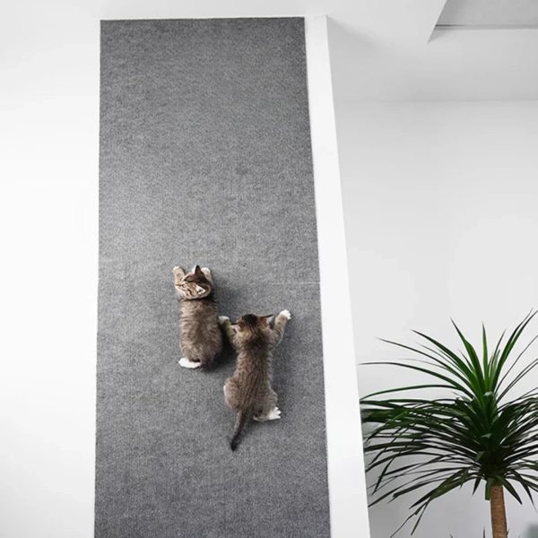 Cat Mat Cat Mat