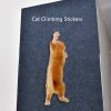 Cat Mat Cat Mat