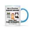 Christmas Fluffy Funny Cats Expressions Merry Christmas Human Servant Personalized Mug Christmas Fluffy Funny Cats Expressions Merry Christmas Human Servant Personalized Mug
