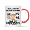 Christmas Fluffy Funny Cats Expressions Merry Christmas Human Servant Personalized Mug Christmas Fluffy Funny Cats Expressions Merry Christmas Human Servant Personalized Mug