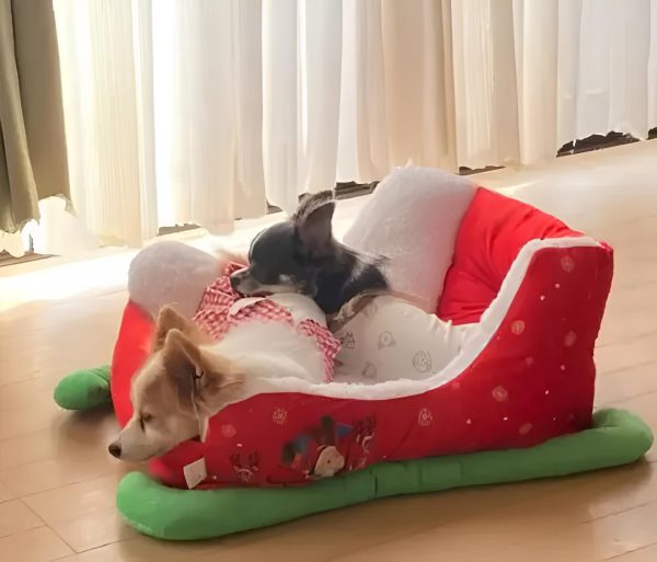 Christmas Sleigh Pet Bed Christmas Sleigh Pet Bed