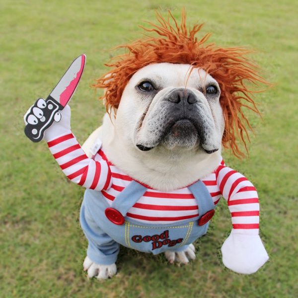 Chucky Halloween Dog Costume Chucky Halloween Dog Costume