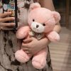 Classic Teddy Bear Plush Toy 30cm Classic Teddy Bear Plush Toy 30cm