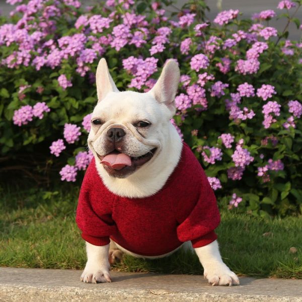 Classic Warm Dog Sweater Classic Warm Dog Sweater