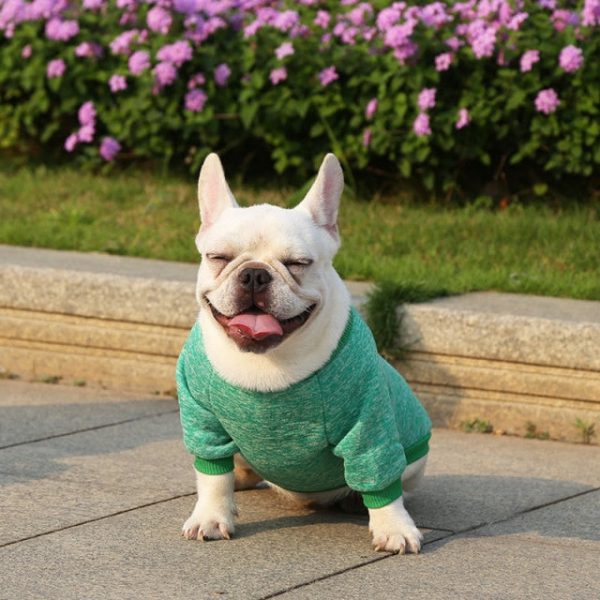 Classic Warm Dog Sweater Classic Warm Dog Sweater