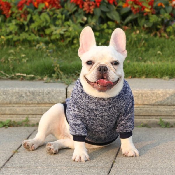 Classic Warm Dog Sweater Classic Warm Dog Sweater