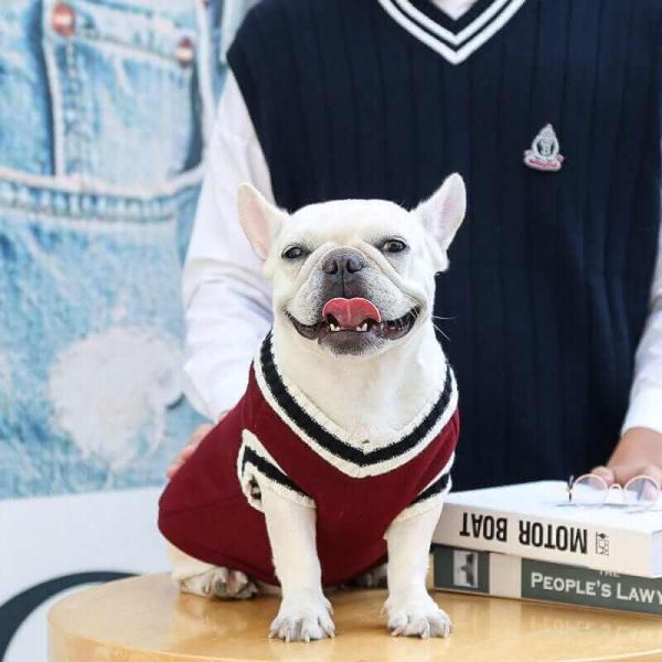 College V-neck Sweater for Dogs College V-neck Sweater for Dogs