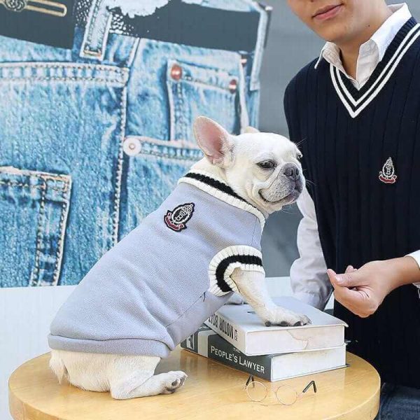 College V-neck Sweater for Dogs College V-neck Sweater for Dogs