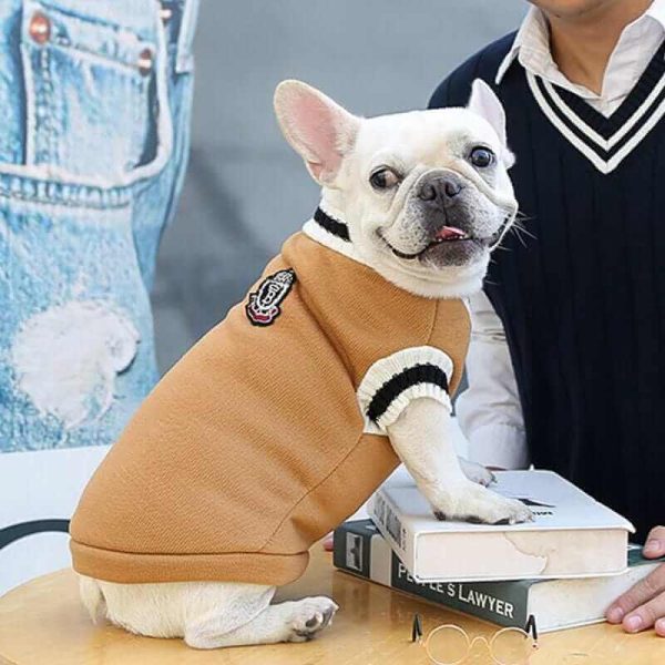 College V-neck Sweater for Dogs College V-neck Sweater for Dogs