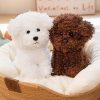 Cuddly Teddy Dog Plush Cuddly Teddy Dog Plush