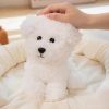 Cuddly Teddy Dog Plush Cuddly Teddy Dog Plush
