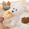 Cuddly Teddy Dog Plush Cuddly Teddy Dog Plush