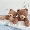 Curly Love Teddy Bear Plush Hug Pillow 40cm