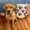 Custom Pet's Face Photo, Personalized Coffee Mug, Gift For Pet Lovers Custom Pet's Face Photo, Personalized Coffee Mug, Gift For Pet Lovers