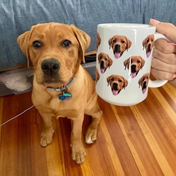 Custom Pet's Face Photo, Personalized Coffee Mug, Gift For Pet Lovers Custom Pet's Face Photo, Personalized Coffee Mug, Gift For Pet Lovers