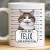Custom Photo Mug - Personalized Birthday Gifts For Dog Cat Lovers, Dog Dad And Mom, Cat Owners - Serial Treat Killer