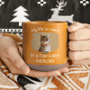 Custom Photo Ruled By A Tiny Furry Overlord For Cat Lover Pottery Mug TH10 892087