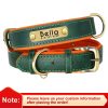 Customized Leather ID Nameplate Dog Collar Customized Leather ID Nameplate Dog Collar