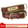 Customized Leather ID Nameplate Dog Collar Customized Leather ID Nameplate Dog Collar