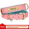 Customized Leather ID Nameplate Dog Collar Customized Leather ID Nameplate Dog Collar