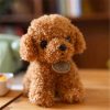 Cute 20CM Plush Curly Dog Toy - Perfect Gift for Kids! Cute 20CM Plush Curly Dog Toy - Perfect Gift for Kids!