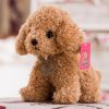 Cute 20CM Plush Curly Dog Toy - Perfect Gift for Kids! Cute 20CM Plush Curly Dog Toy - Perfect Gift for Kids!